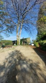 49a33d322a97c43279447d3e937694dee7139c1f55160