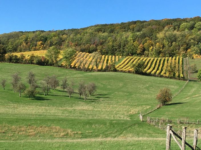 Image No.7-Maison de 3 chambres à vendre à Coiffy-le-Haut
