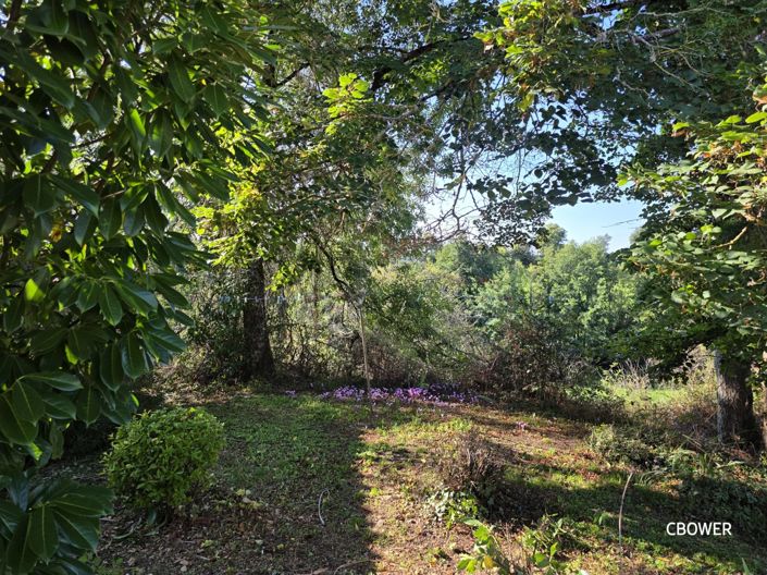 Image No.6-5 Bed House for sale