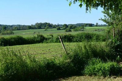 1e55ca3820ed2bd39963f3f79396c3a863a15c29a6162