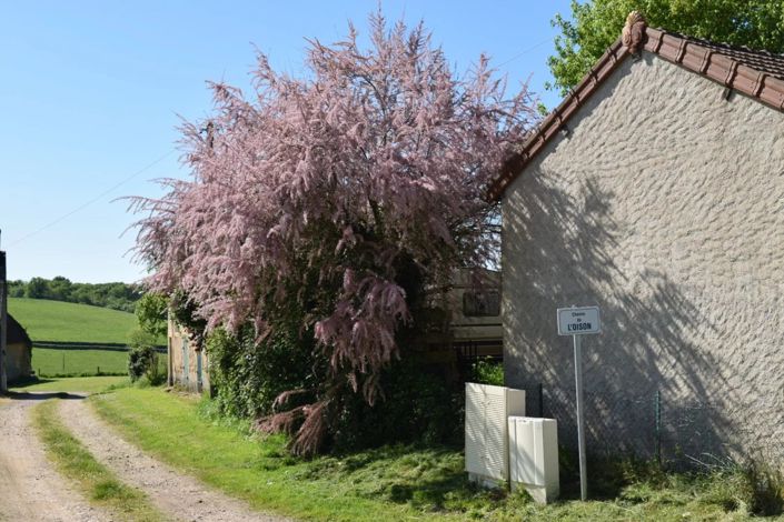 Image No.26-2 Bed House for sale