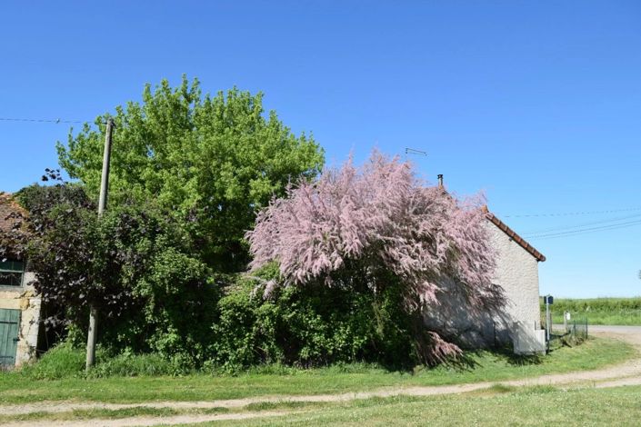 Image No.28-2 Bed House for sale