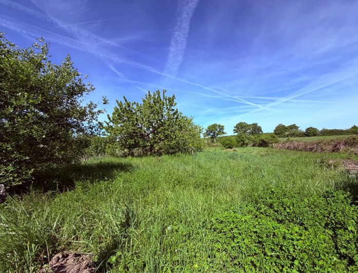 Image No.2-6 Bed Villa for sale