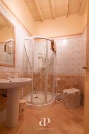 ref-54130-18webselect