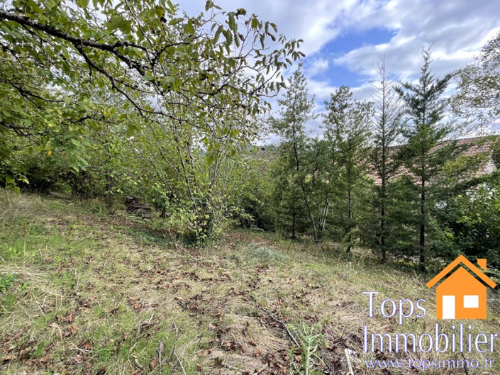 Image No.19-4 Bed House for sale