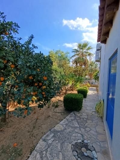 Image No.31-Maison / Villa de 2 chambres à vendre à Adele