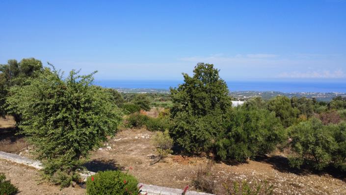 Image No.14-3 Bed House for sale