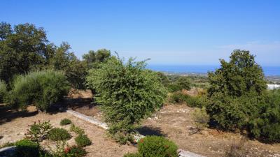 image00006