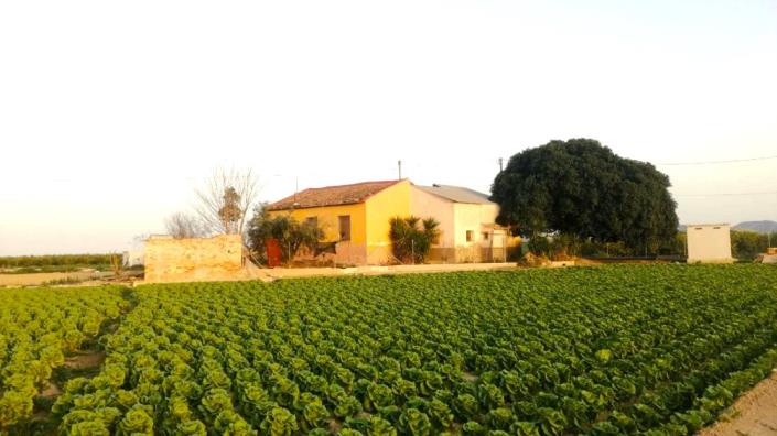 Image No.4-Maison de campagne de 3 chambres à vendre à Orihuela