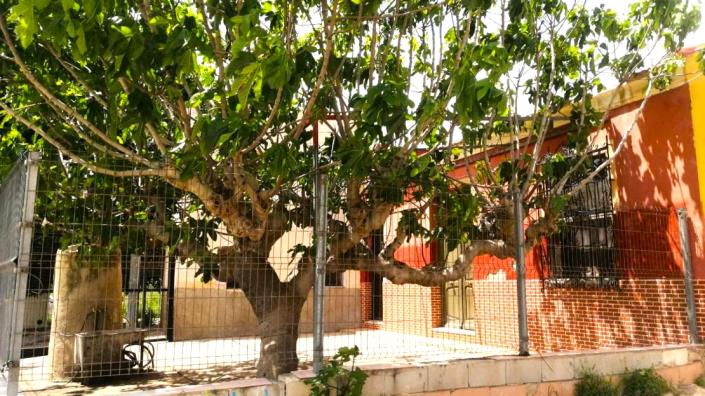 Image No.8-Maison de campagne de 3 chambres à vendre à Orihuela