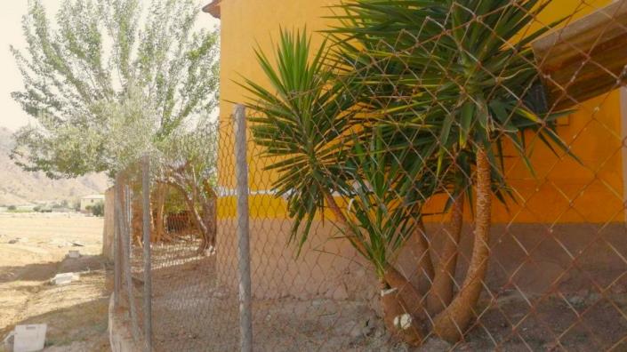 Image No.9-Maison de campagne de 3 chambres à vendre à Orihuela