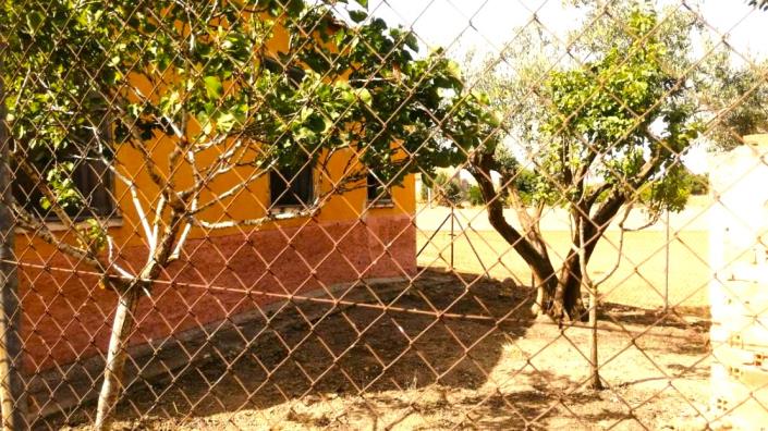 Image No.10-Maison de campagne de 3 chambres à vendre à Orihuela