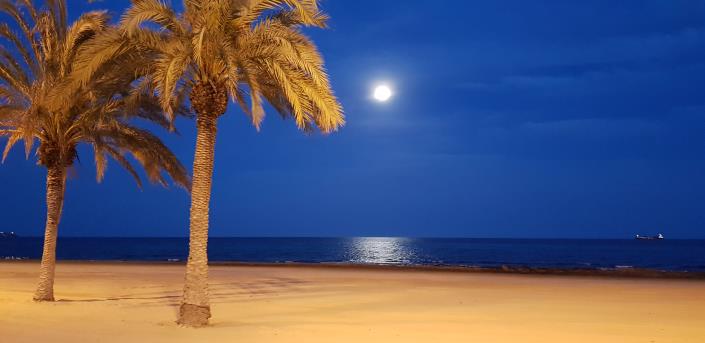 Image No.4-Villa / Détaché de 4 chambres à vendre à Avileses