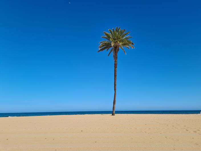 Image No.18-Maison de ville de 2 chambres à vendre à Algorfa