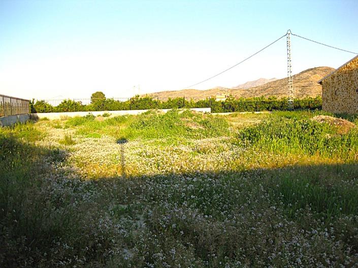 Image No.11-3 Bed Country Property for sale