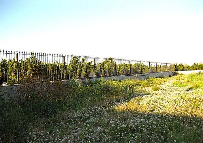 Image No.15-3 Bed Country Property for sale