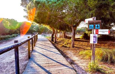 Torrevieja-Lakes-7