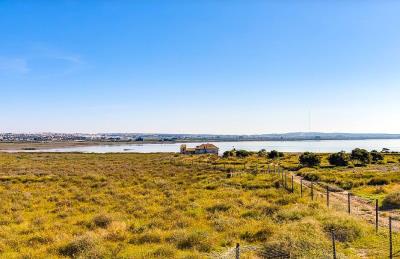 Torrevieja-Lakes