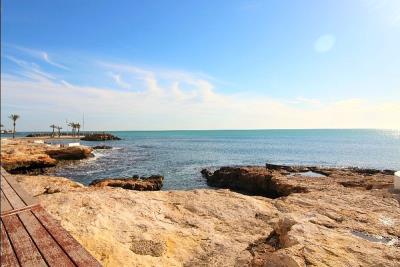 Torrevieja8