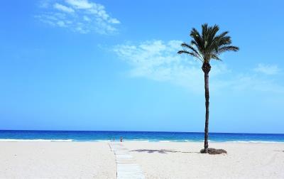 Alicante1