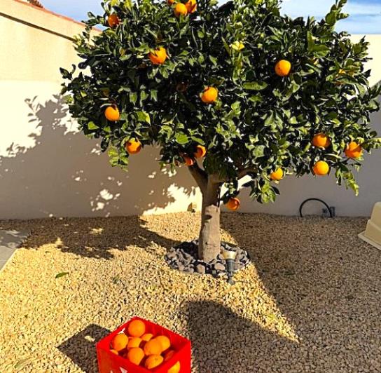 Image No.20-Villa / Détaché de 3 chambres à vendre à Ciudad Quesada