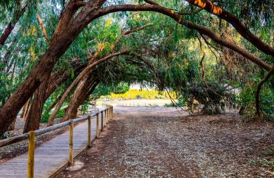 Torrevieja-Lakes5
