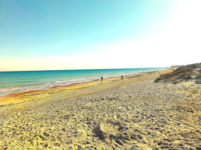 Image No.15-Jumelé de 5 chambres à vendre à Torre de la Horadada