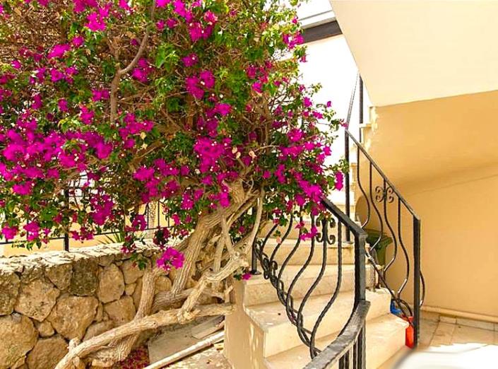 Image No.7-2 Bed Villa / Detached for sale