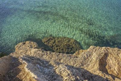 Albir5
