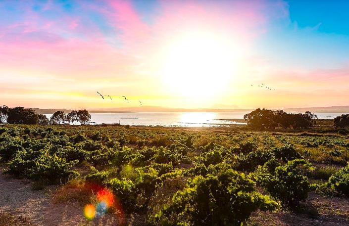 Image No.21-Villa / Détaché de 3 chambres à vendre à Torrevieja