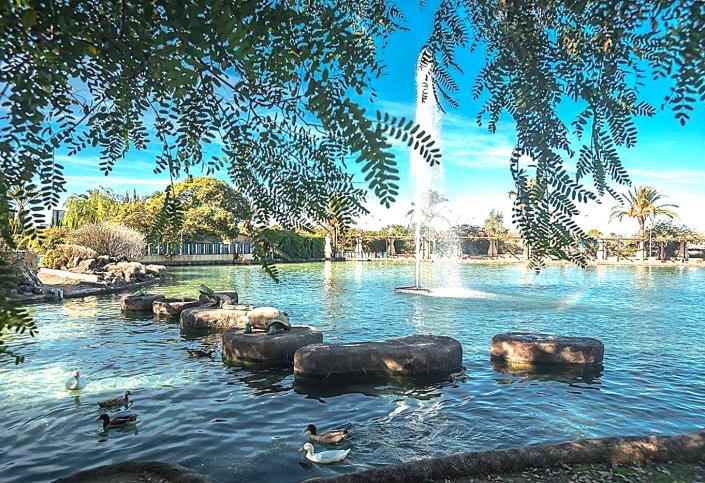 Image No.11-2 Bed Apartment for sale