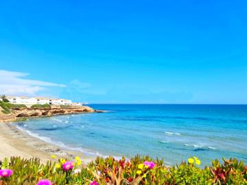 Let’s Live Abroad! most sold property