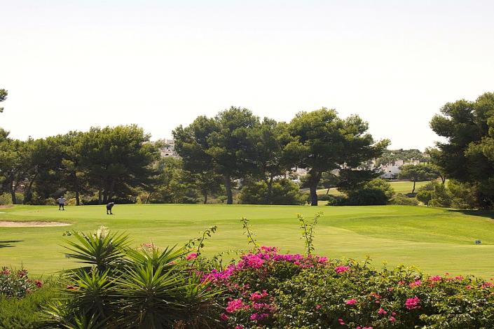 Image No.7-Appartement de 2 chambres à vendre à Playa Flamenca