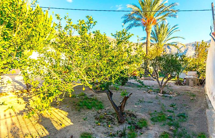 Image No.16-4 Bed Finca for sale