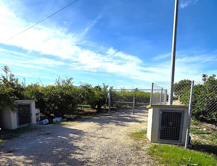 Image No.9-2 Bed Finca for sale