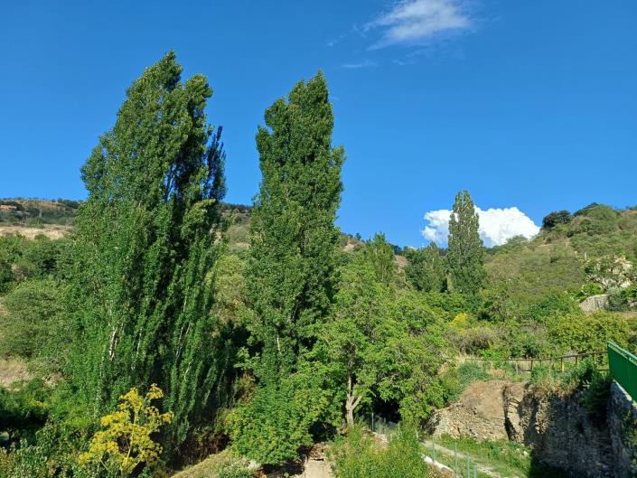 Image No.2-8 Bed Finca for sale