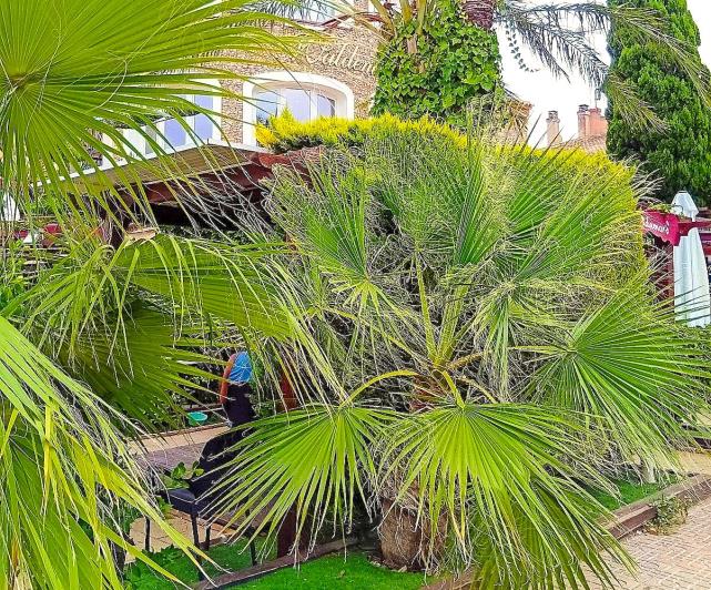 Image No.5-2 Bed Apartment for sale