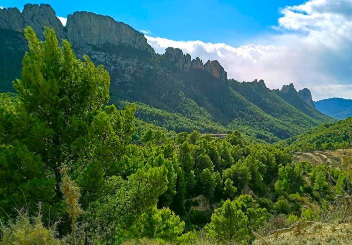 Image No.18-3 Bed Apartment for sale