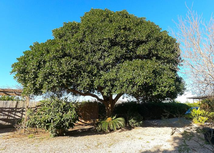 Image No.6-Maison de campagne de 3 chambres à vendre à Orihuela Costa