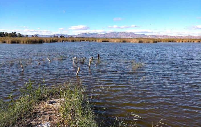 Image No.5-2 Bed Apartment for sale