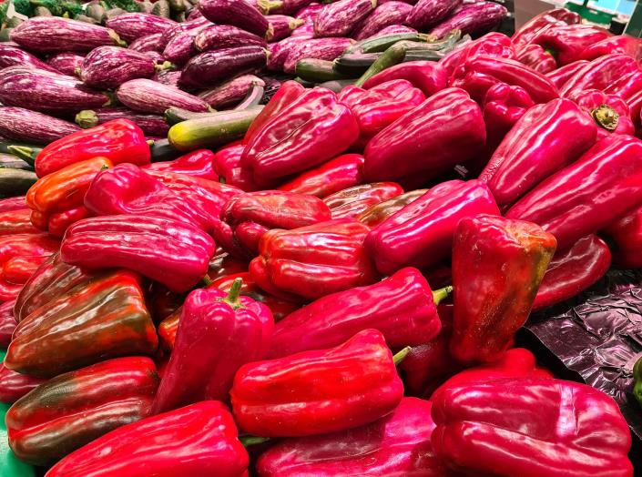 Image No.8-Finca de 2 chambres à vendre à Benejúzar