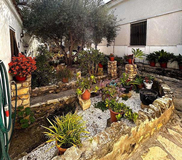 Image No.5-Finca de 2 chambres à vendre à Benejúzar