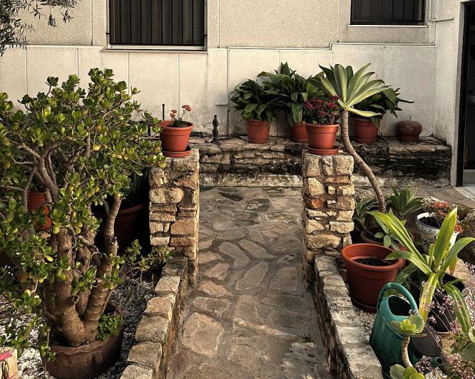 Image No.26-Finca de 2 chambres à vendre à Benejúzar