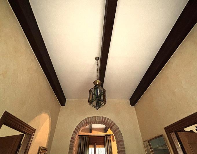 Image No.29-Finca de 2 chambres à vendre à Benejúzar