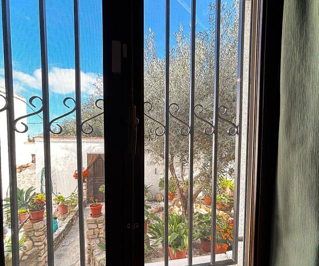 Image No.41-Finca de 2 chambres à vendre à Benejúzar