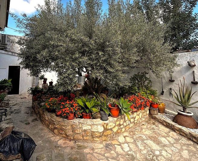 Image No.44-Finca de 2 chambres à vendre à Benejúzar