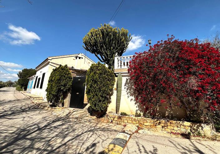 Image No.58-Finca de 2 chambres à vendre à Benejúzar