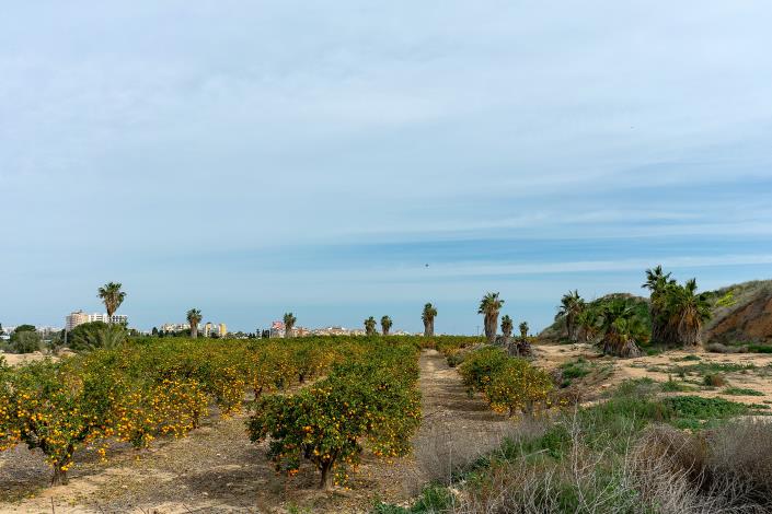 Image No.18-Villa / Détaché de 2 chambres à vendre à Los Altos