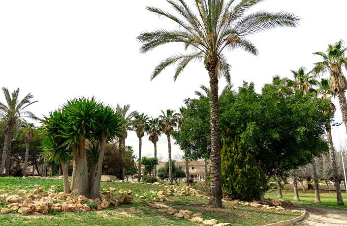 Image No.19-Villa / Détaché de 2 chambres à vendre à Los Altos