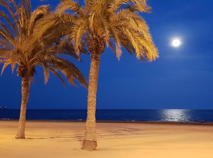 Image No.9-3 Bed Apartment for sale